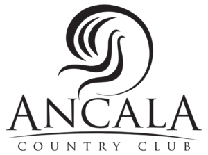 Brian Young PLLC REALTOR - Ancala Country Club Marketing Specialist Agent